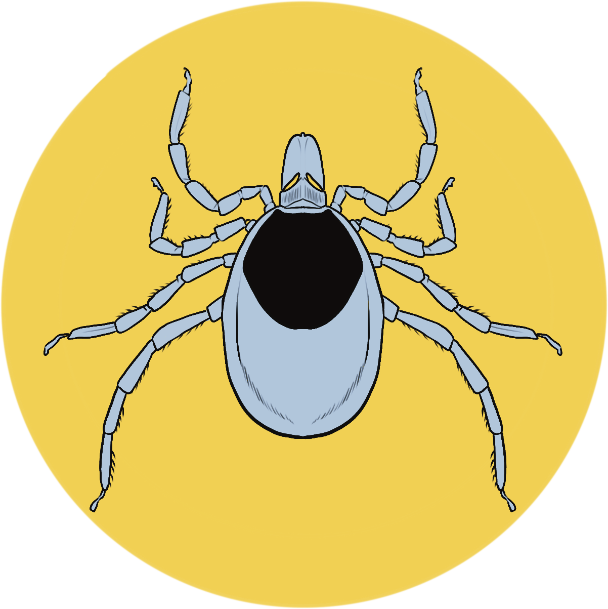 icon of tick.